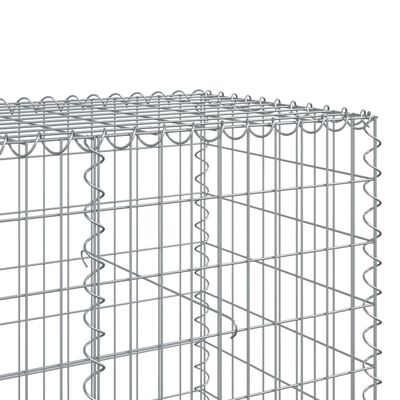 vidaXL kaanega gabioonkorv, 300 x 100 x 100 cm, tsingitud raud