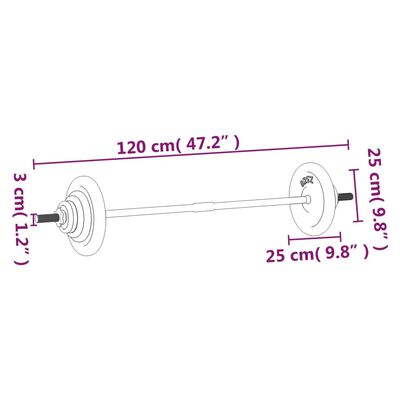 vidaXL raskuskang ketastega, 30 kg malm