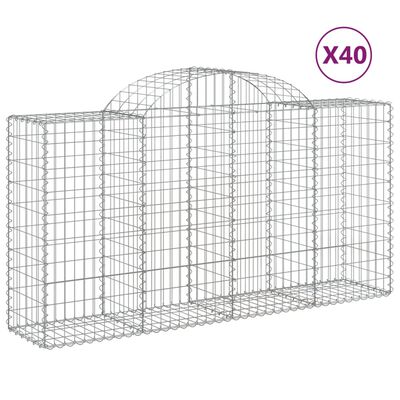 vidaXL kaarekujulised gabioonkorvid 40 tk, 200x50x100/120 cm, raud