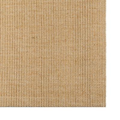 vidaXL vaip naturaalne sisal 66x100 cm