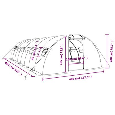 vidaXL kasvuhoone terasraamiga, valge, 32 m², 8x4x2 m