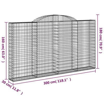 vidaXL kaarekujulised gabioonkorvid 2 tk, 300x30x160/180 cm, raud