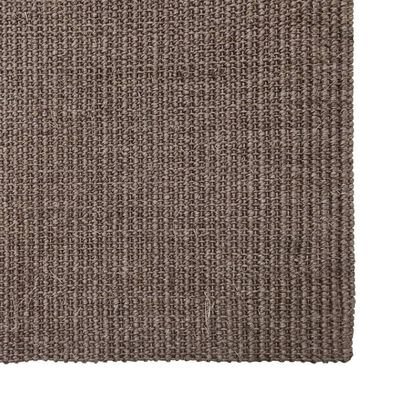 vidaXL vaip, naturaalne sisal, 80 x 300 cm, pruun