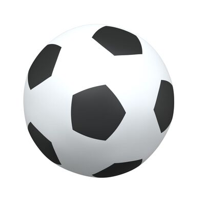 vidaXL kaks-ühes laste jalgpallivärav koos pallidega, valge