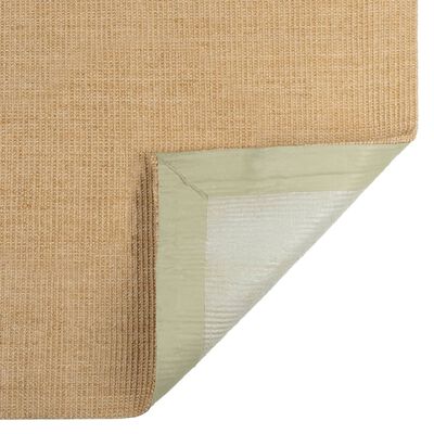 vidaXL vaip naturaalne sisal 66x100 cm