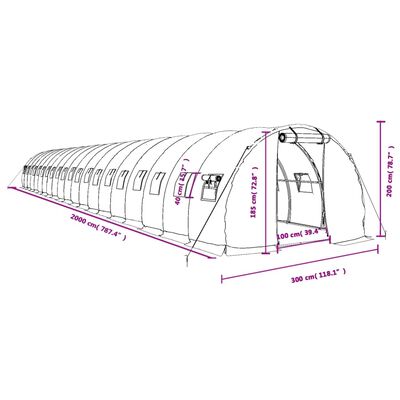 vidaXL kasvuhoone terasraamiga, valge, 60 m², 20x3x2 m