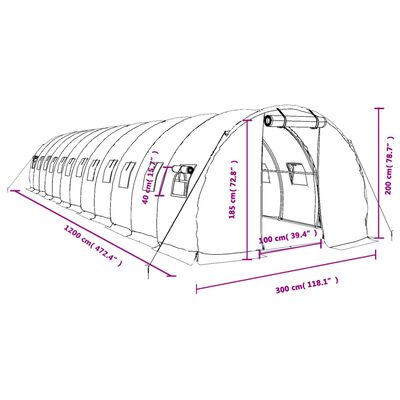 vidaXL kasvuhoone terasraamiga, valge, 36 m², 12x3x2 m