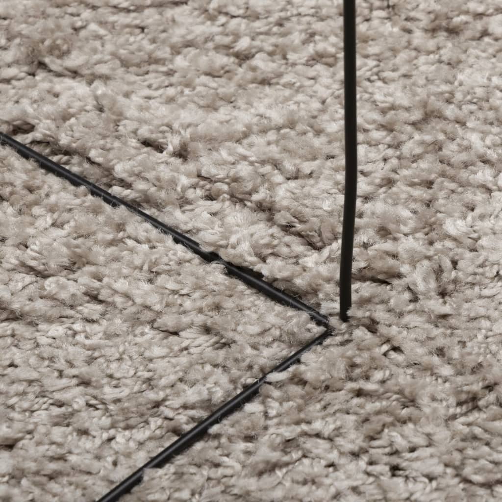vidaXL kõrge narmaga Shaggy vaip, beež, 120x170 cm