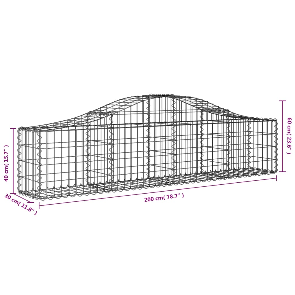 vidaXL kaarekujulised gabioonkorvid 2 tk, 200x30x40/60 cm, raud