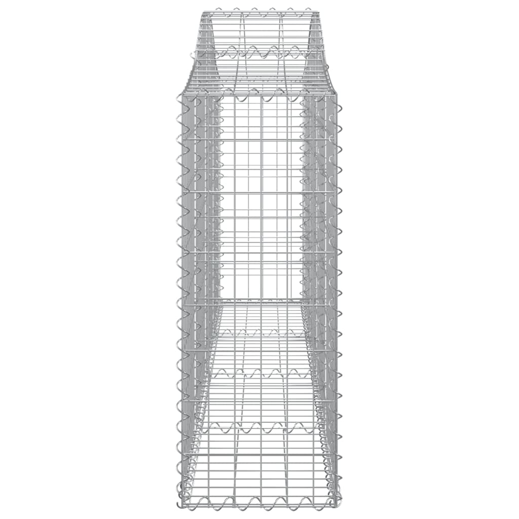 vidaXL kaarekujulised gabioonkorvid 40 tk, 200x30x80/100 cm, raud