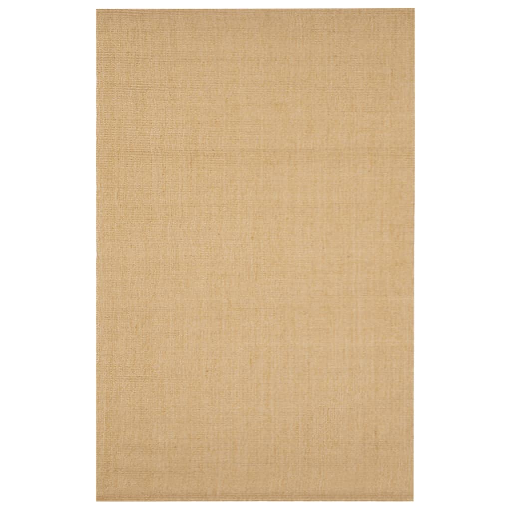 vidaXL vaip naturaalne sisal 66x100 cm