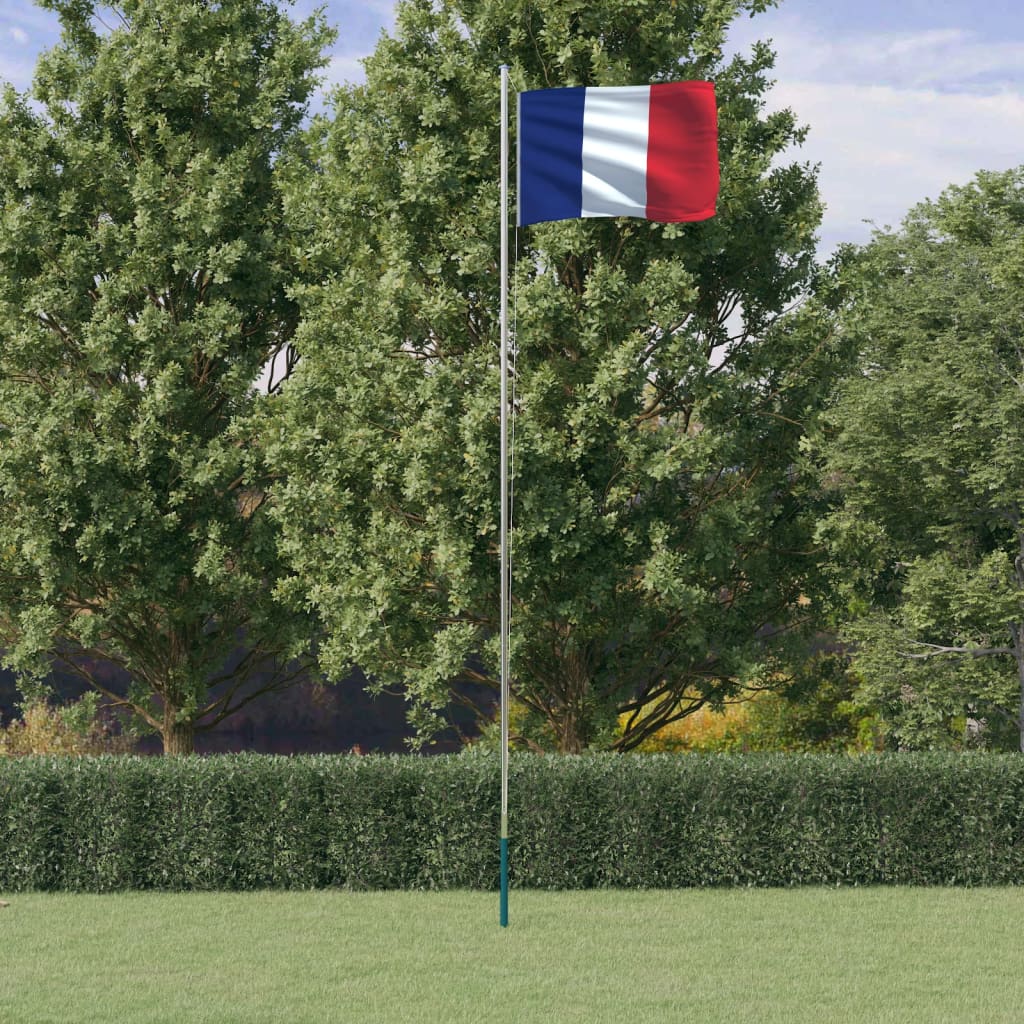 vidaXL Prantsusmaa lipp ja lipumast, 6,23 m, alumiinium