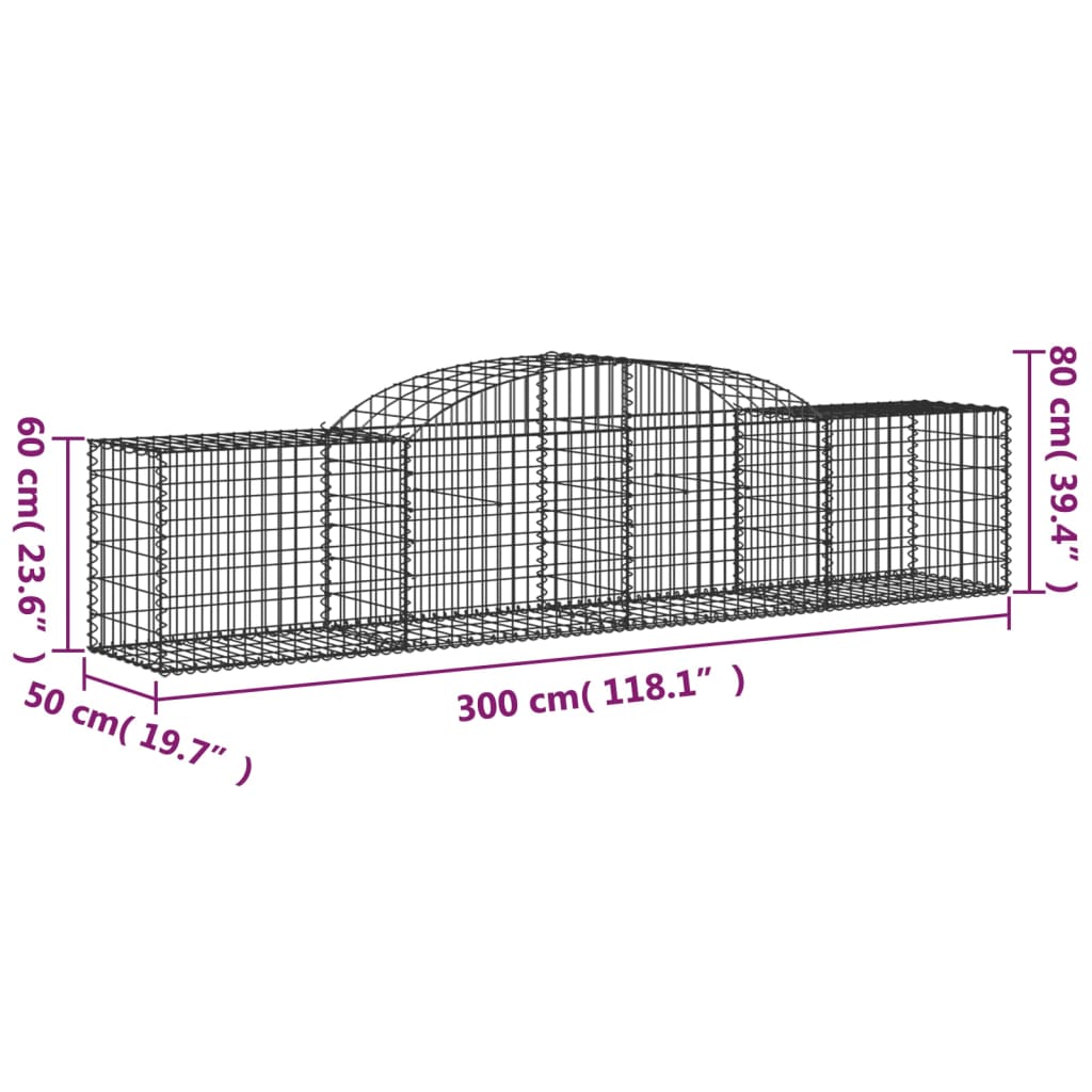 vidaXL kaarekujulised gabioonkorvid 20 tk, 300x50x60/80 cm, raud