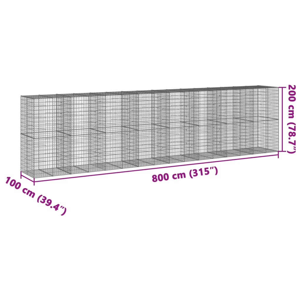 vidaXL kaanega gabioonkorv, 800x100x200 cm, tsingitud raud