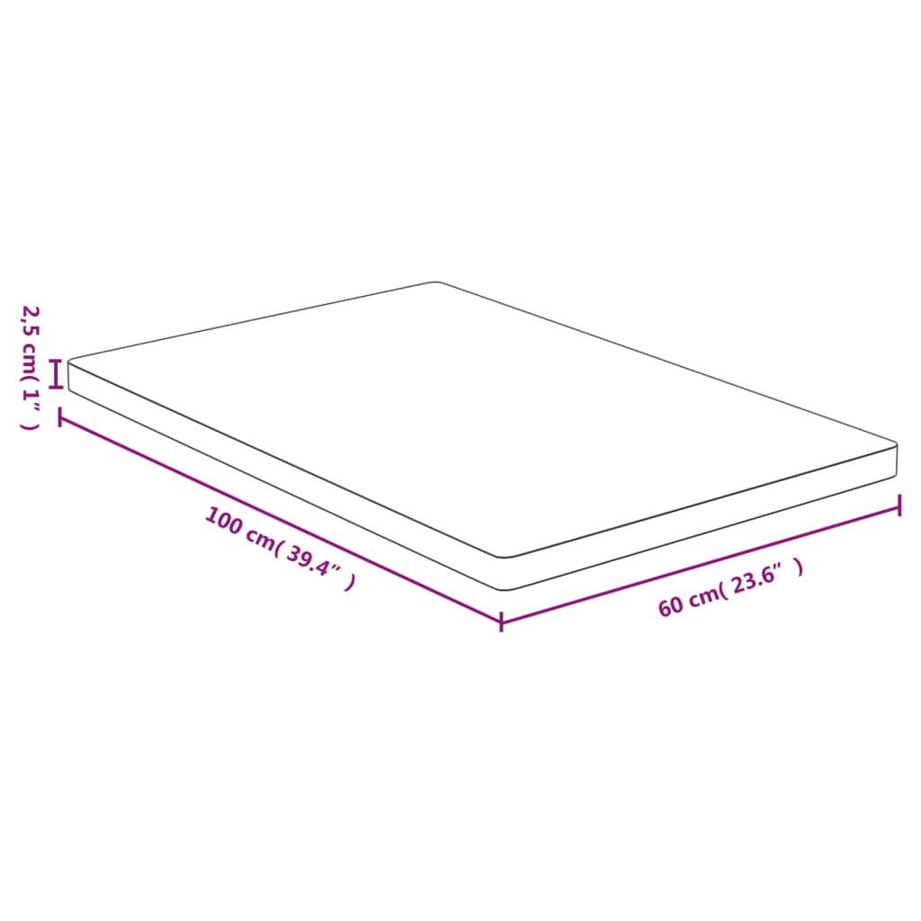 vidaXL lauaplaat, 60x100x2,5 cm, bambus