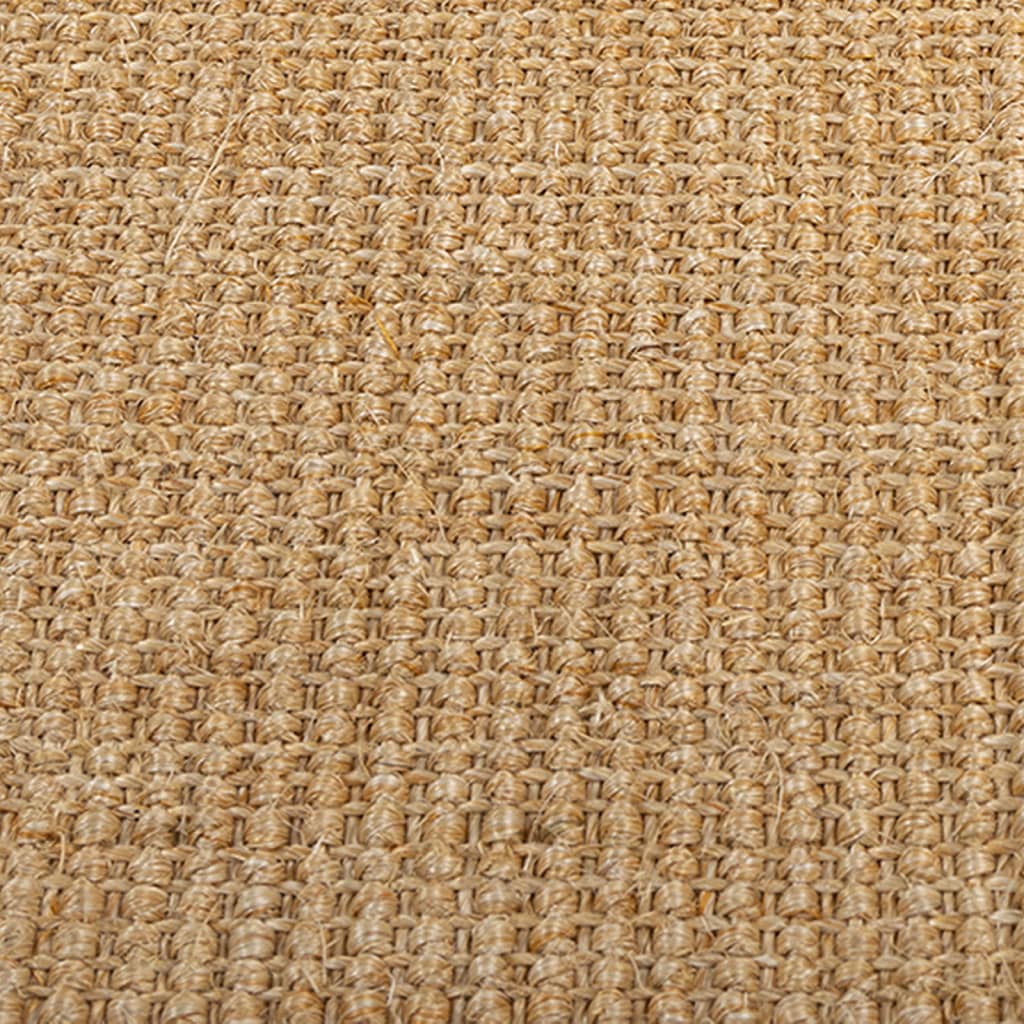 vidaXL vaip naturaalne sisal 66x100 cm