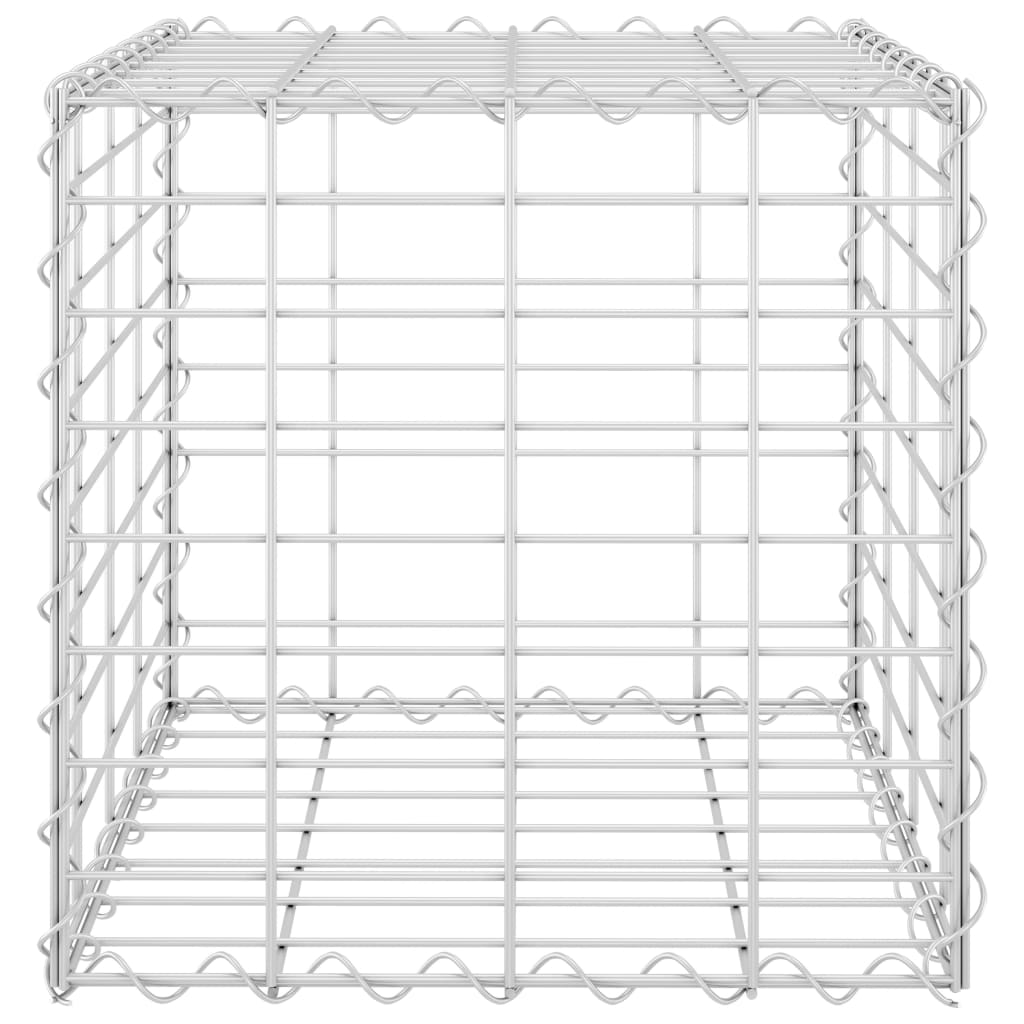 vidaXL kuubikukujuline gabioon-taimelava, teras 40 x 40 x 40 cm