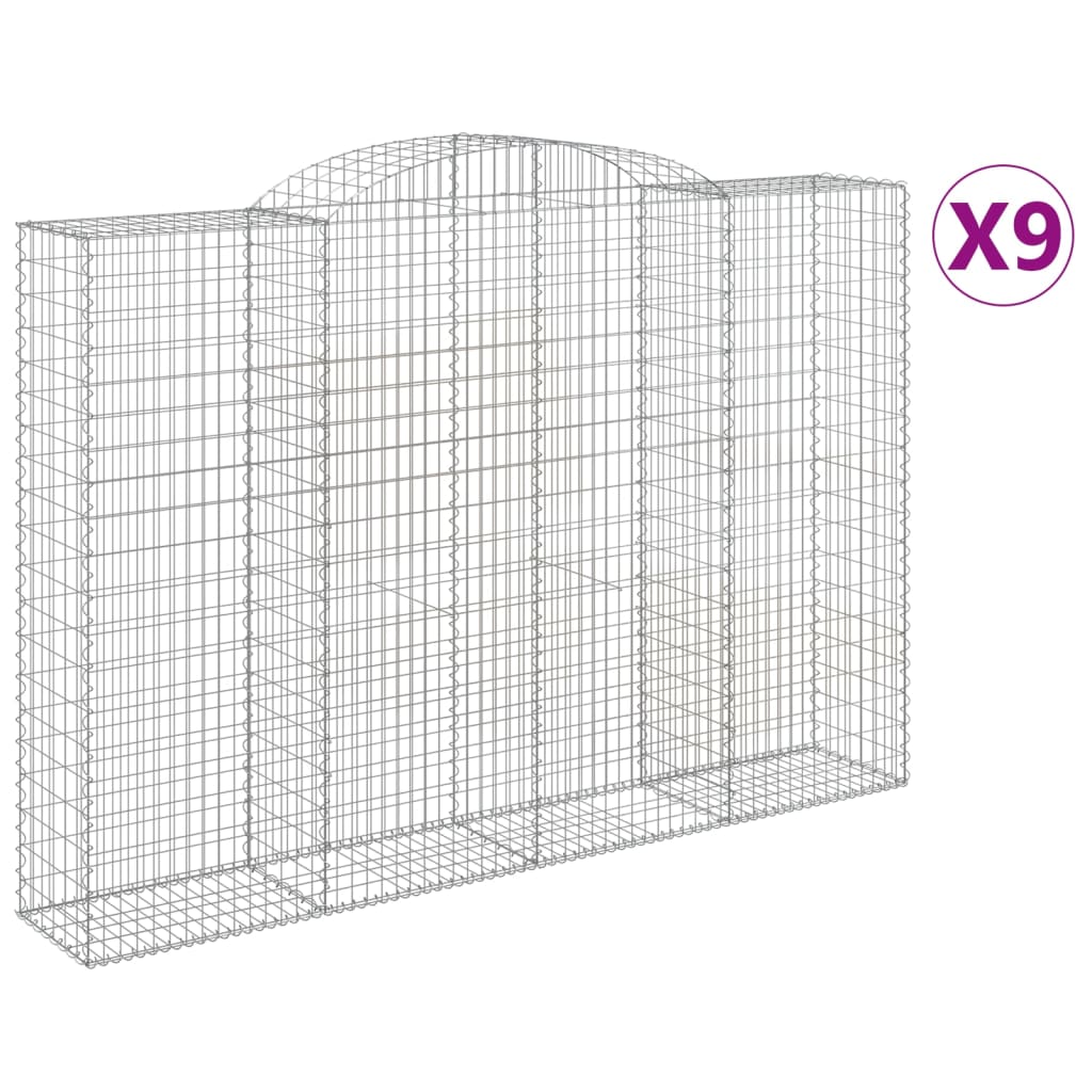 vidaXL kaarekujulised gabioonkorvid 9 tk, 300x50x200/220 cm, raud