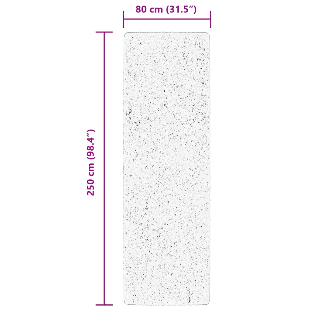 vidaXL vaip "ARBIZU", tuppa ja õue, vanaaegne disain, 80 x 250 cm