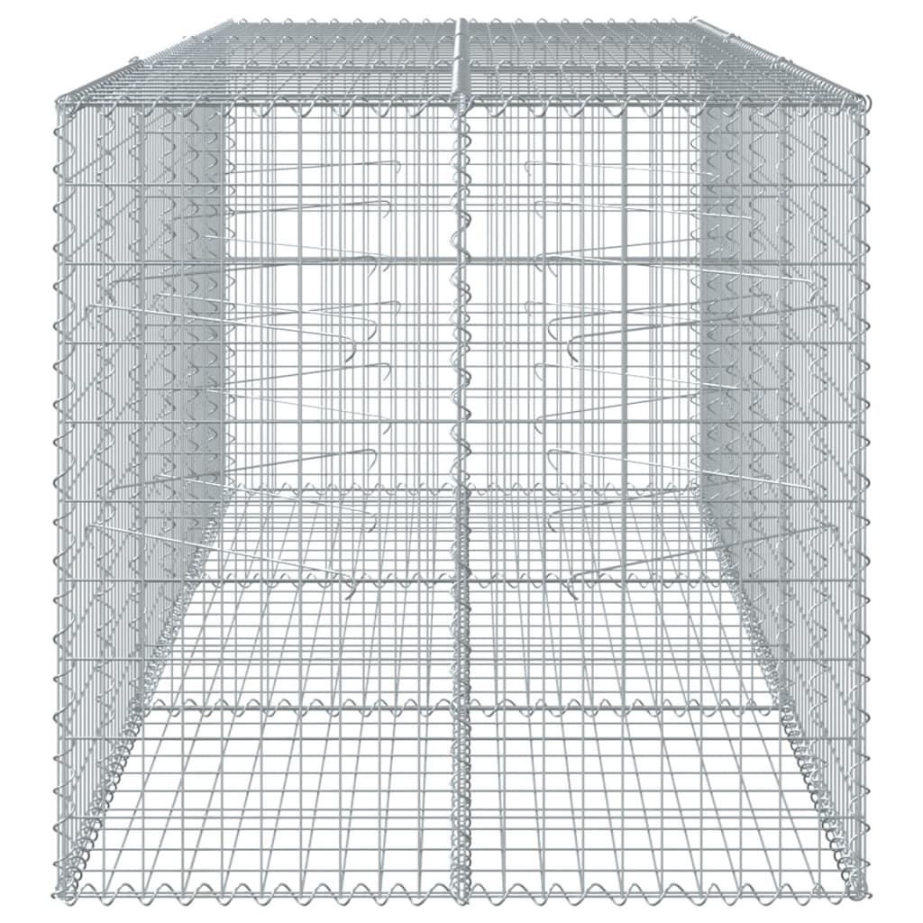 vidaXL kaanega gabioonkorv, 300 x 100 x 100 cm, tsingitud raud