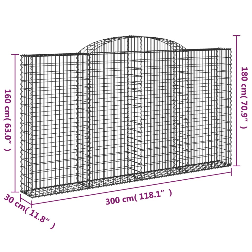 vidaXL kaarekujulised gabioonkorvid 2 tk, 300x30x160/180 cm, raud