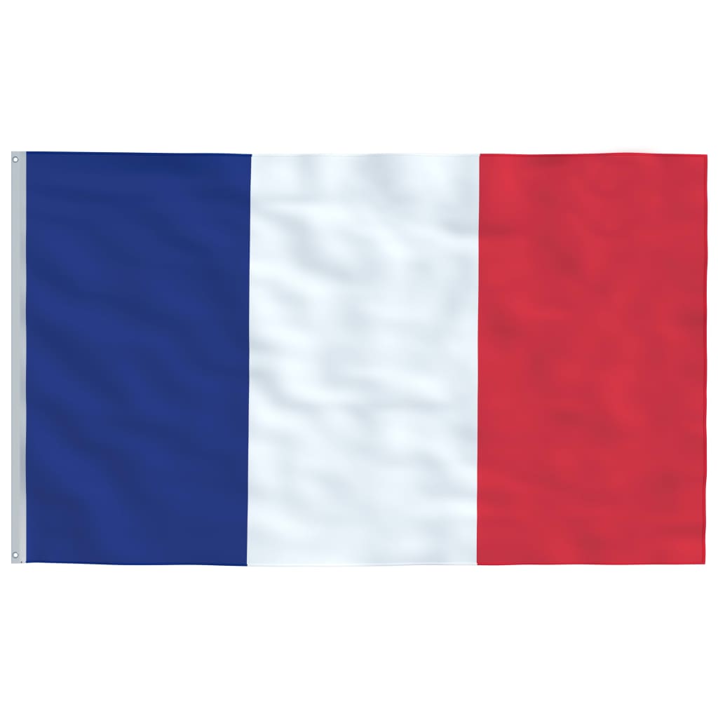 vidaXL Prantsusmaa lipp ja lipumast, 6,23 m, alumiinium