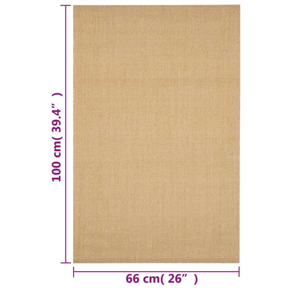 vidaXL vaip naturaalne sisal 66x100 cm