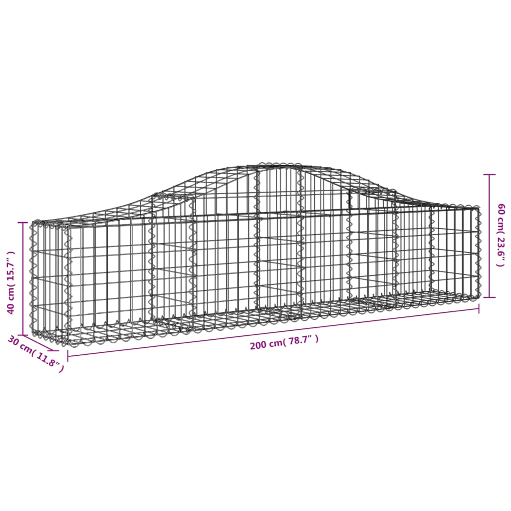 vidaXL kaarekujulised gabioonkorvid 20 tk, 200x30x40/60 cm, raud