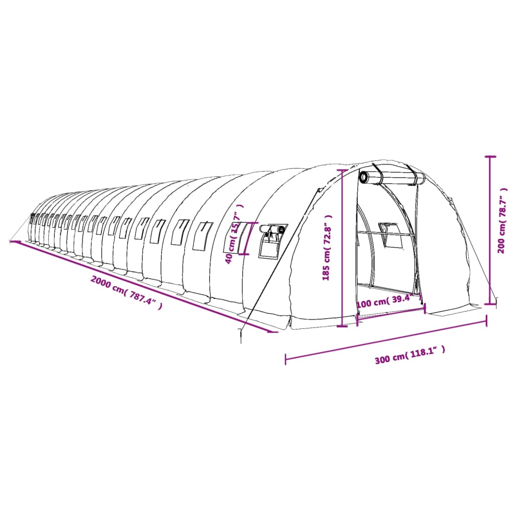 vidaXL kasvuhoone terasraamiga, valge, 60 m², 20x3x2 m