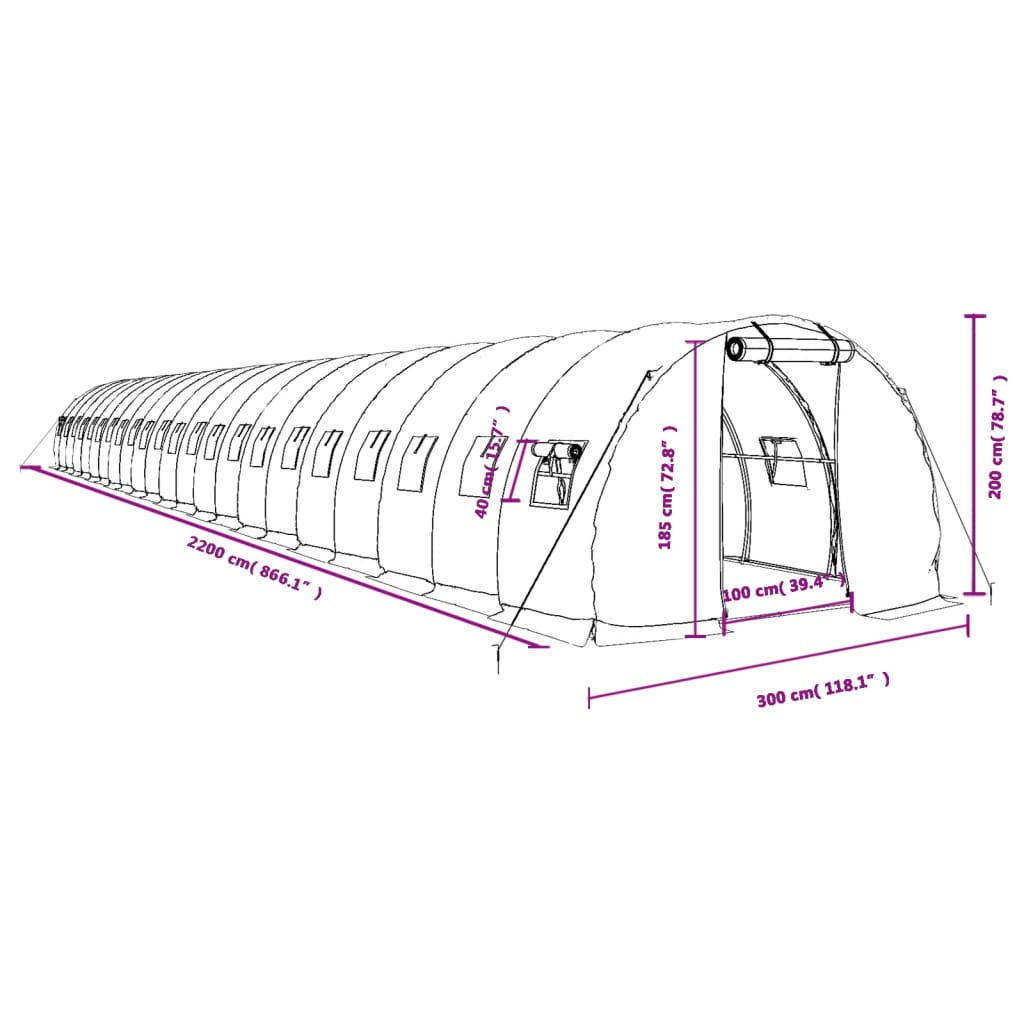 vidaXL kasvuhoone terasraamiga, valge, 66 m², 22x3x2 m