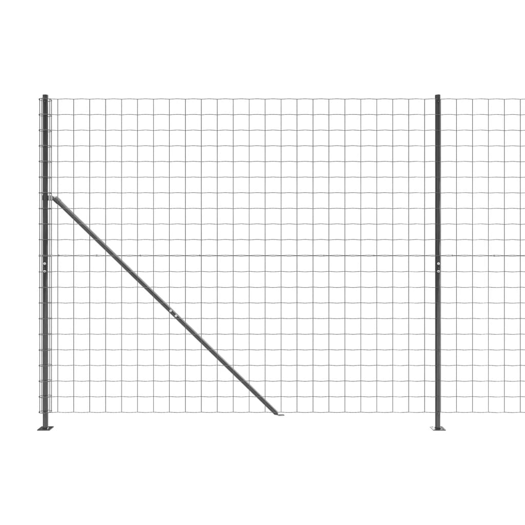 vidaXL traataed äärikuga, antratsiithall, 2x10 m